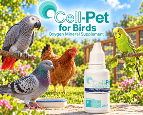 Bird Products