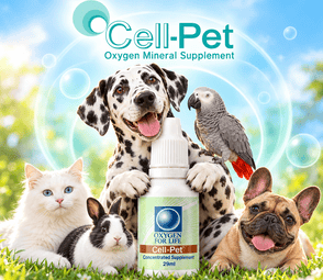 Pet Products